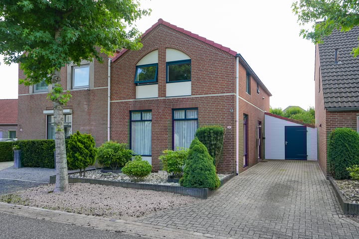 undefined main image