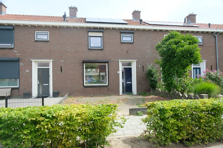 undefined main image