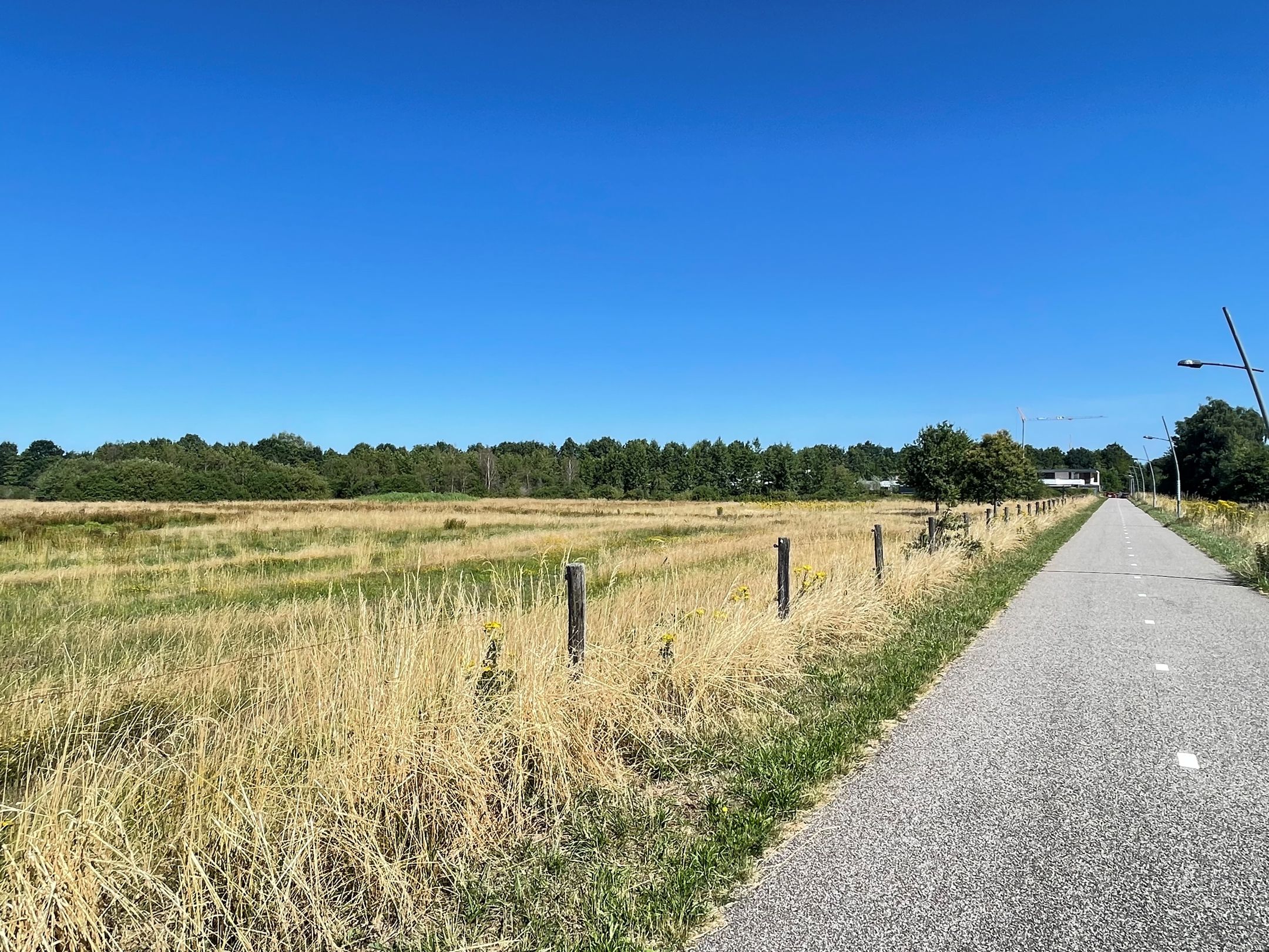 Foto 9 van Burg. Gremstraat 11