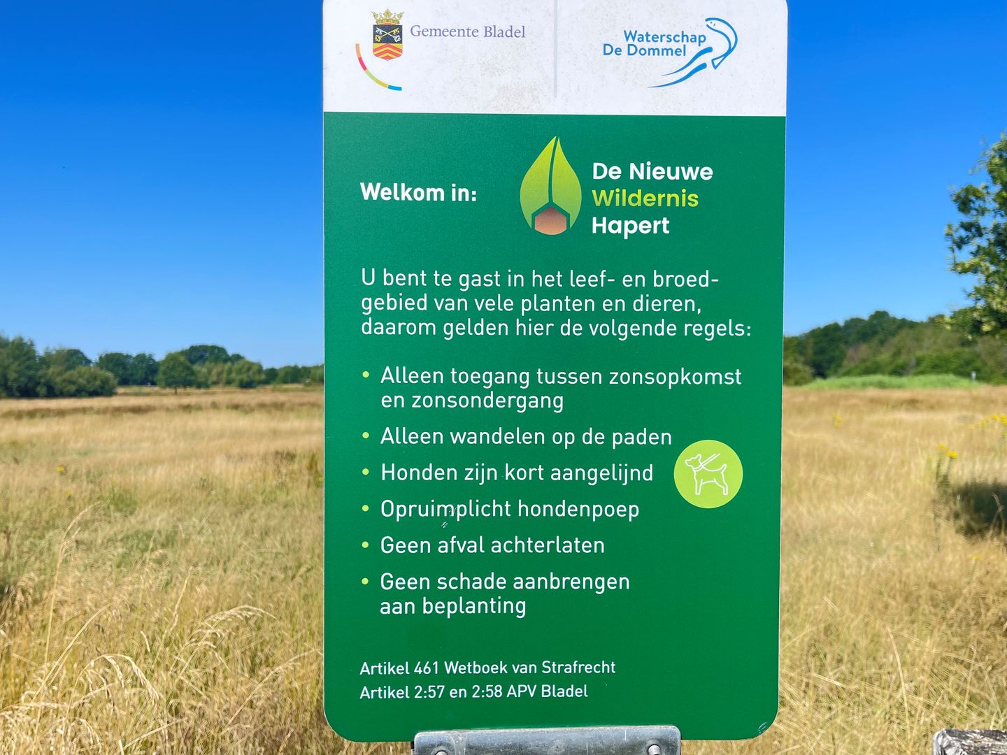 Foto 10 van Burg. Gremstraat 11