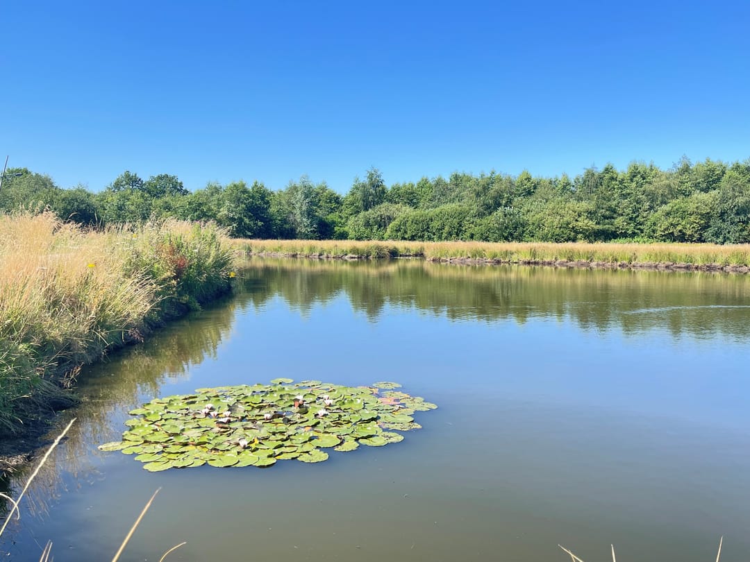 Foto 11 van Burg. Gremstraat 11