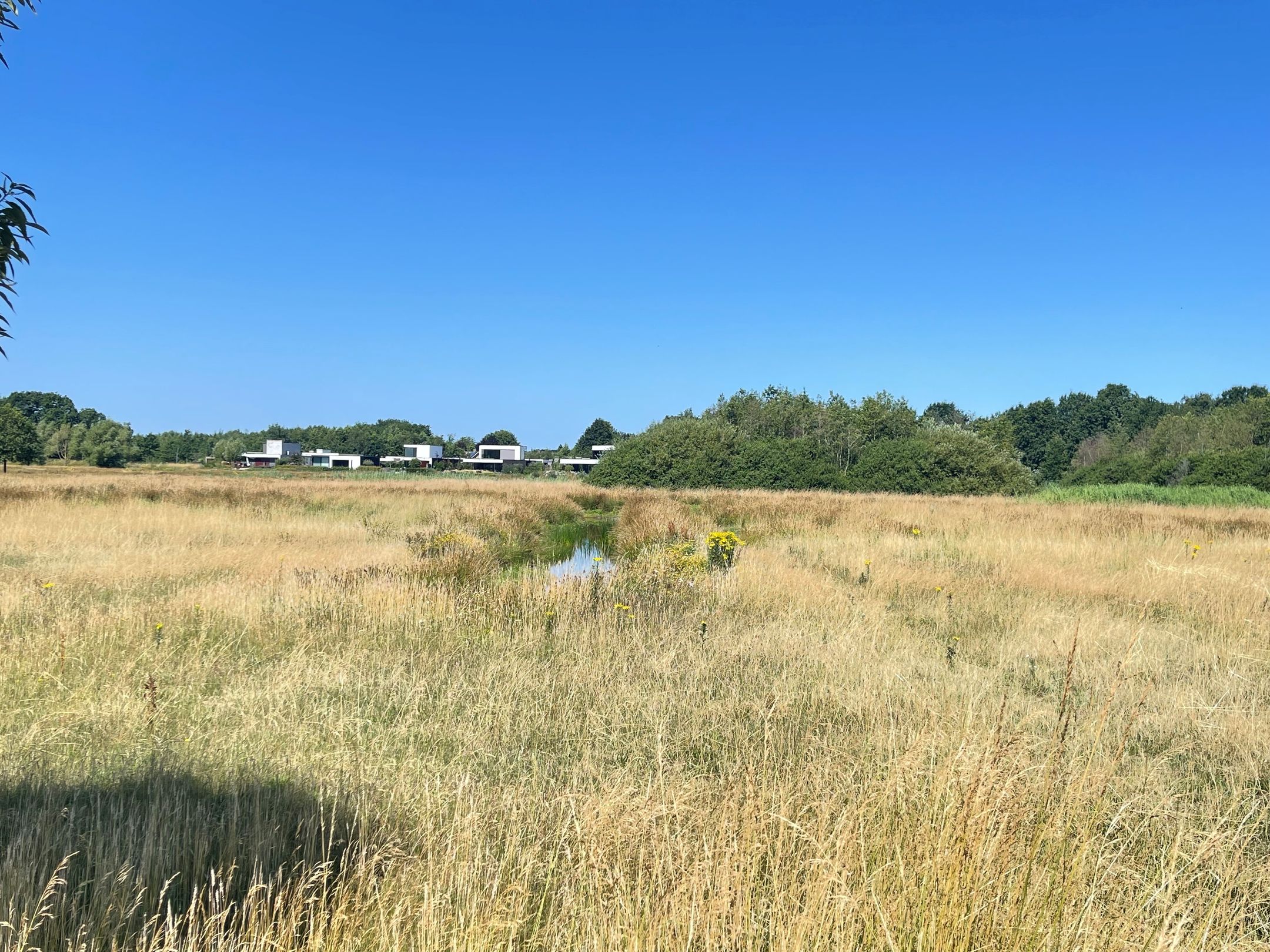 Foto 12 van Burg. Gremstraat 11