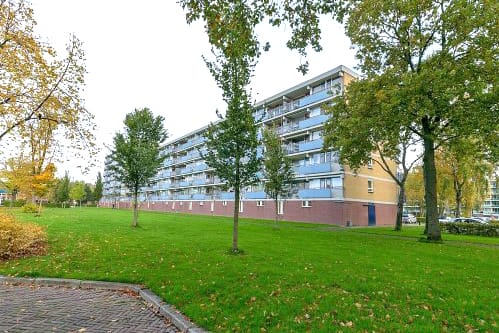 Koekoekstraat 59