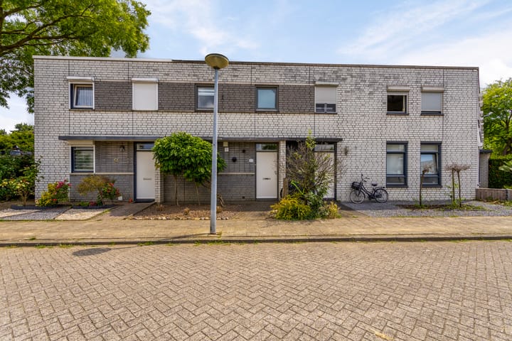 undefined main image