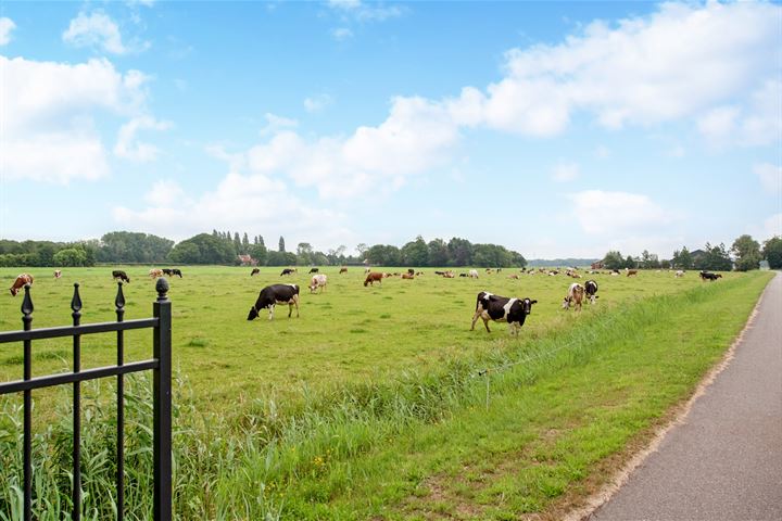 Bekijk foto 50 van Eikenhorstlaan 20