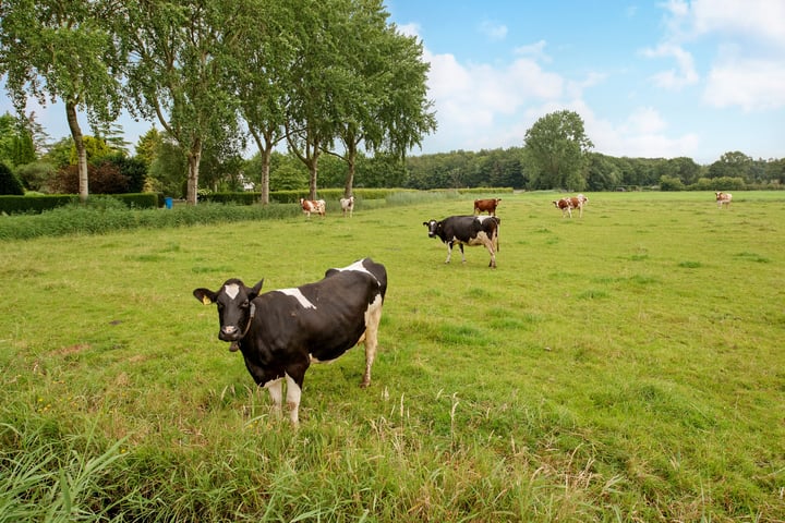 Bekijk foto 51 van Eikenhorstlaan 20