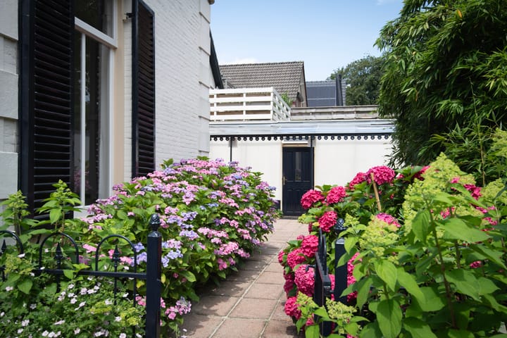 Foto 38 van Paul Krugerstraat 21