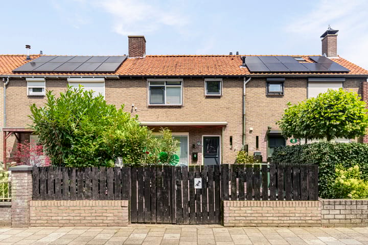 undefined main image