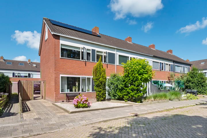 undefined main image