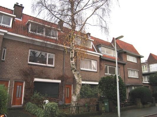 Roelofsstraat 91