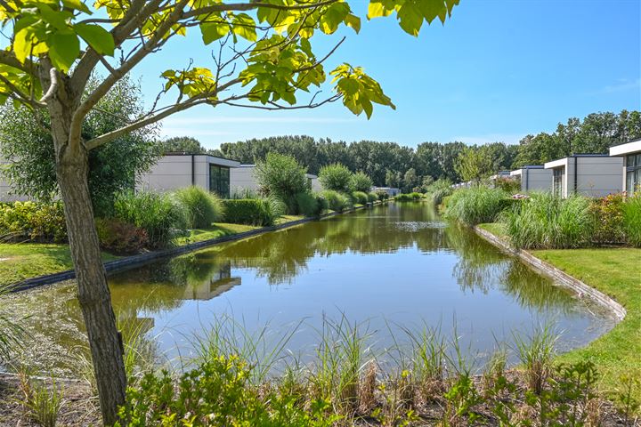 Bekijk foto 2 van Droompark Buitenhuizen 459