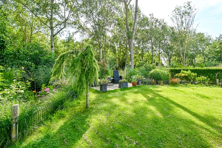 Foto 20 van Droompark Buitenhuizen 459