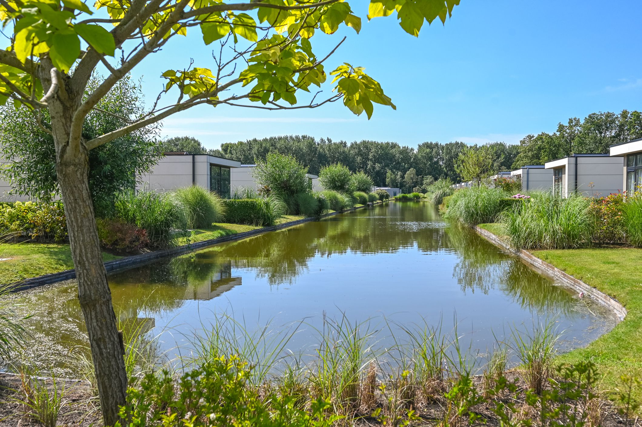 Foto 36 van Droompark Buitenhuizen 459