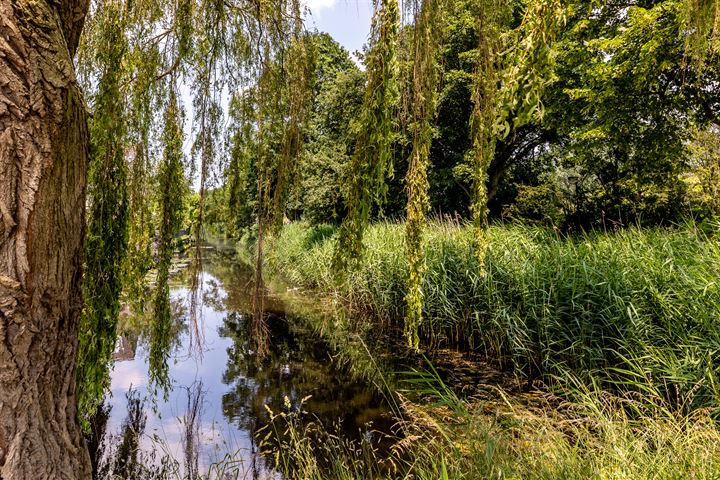 View photo 36 of Schepradmolen 20