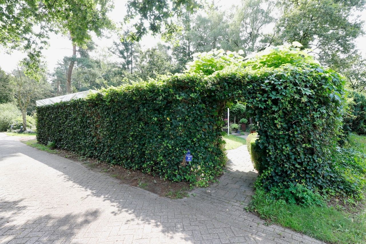 Foto 12 van Bato'sweg 8-28