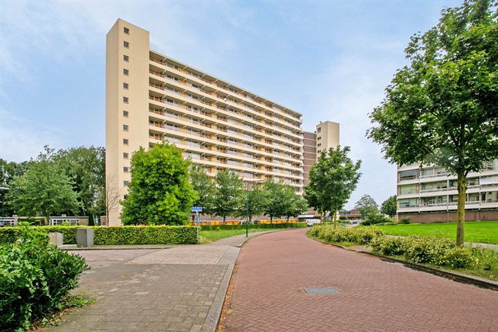 View photo 1 of Prins Willem-Alexanderpark 345