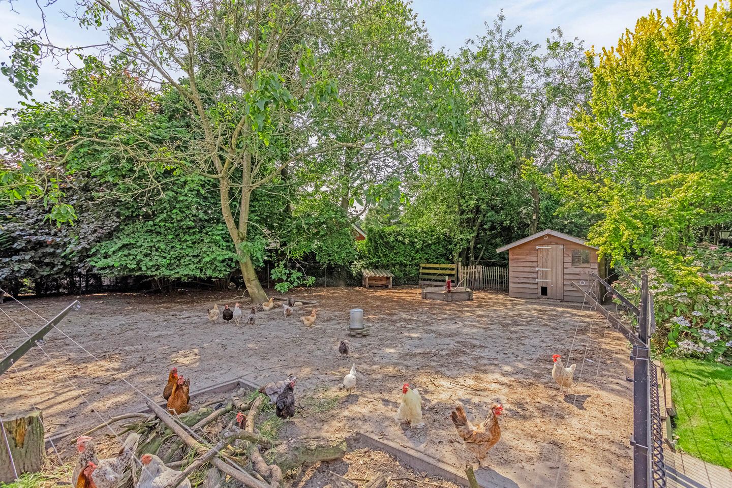 Foto 40 van Bluesdreef 12