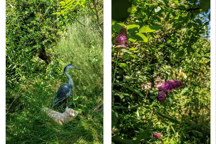 Foto 76 van Broekhin Zuid 61-A