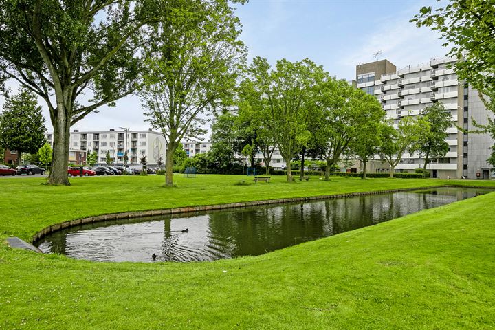 Bekijk foto 36 van Homerusstraat 753