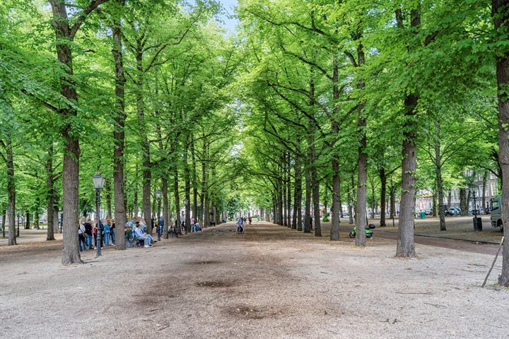 Bekijk foto 48 van Lange Houtstraat 33