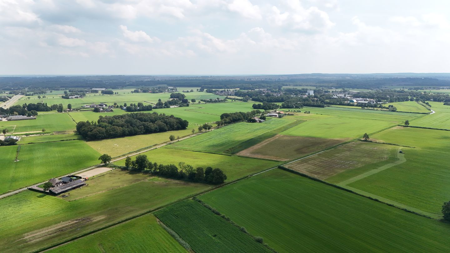 Foto 10 van Almeloseweg