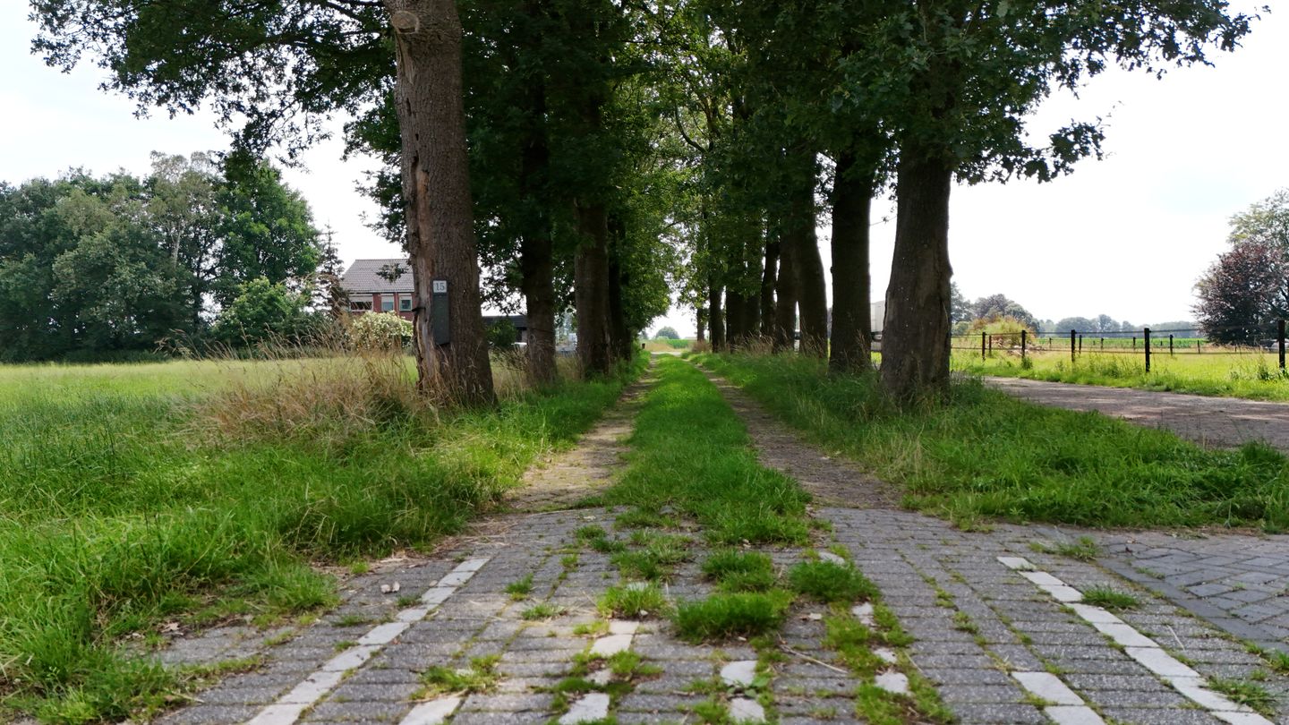 Foto 12 van Almeloseweg