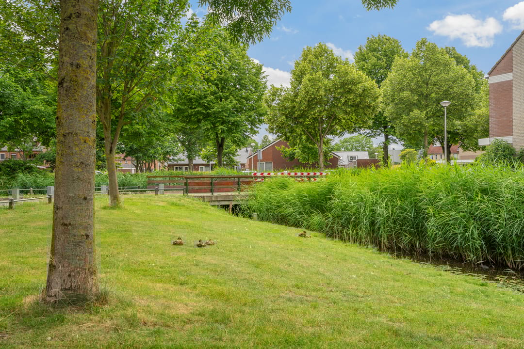 Photo 32 of Stampioenstraat 55