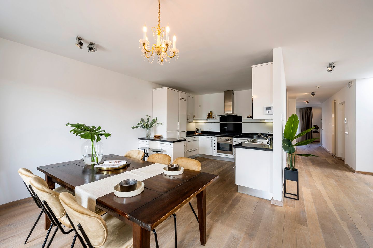 Foto 5 van Zomertuin 16