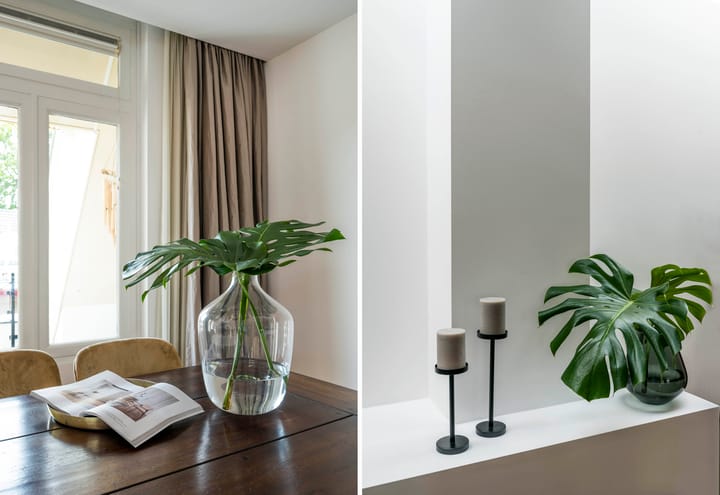 Photo 8 of Zomertuin 16