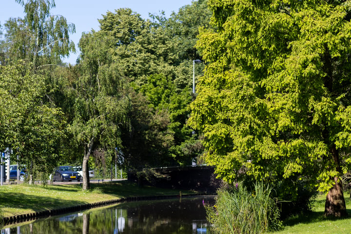 Bekijk foto 34 van Statensingel 193-B