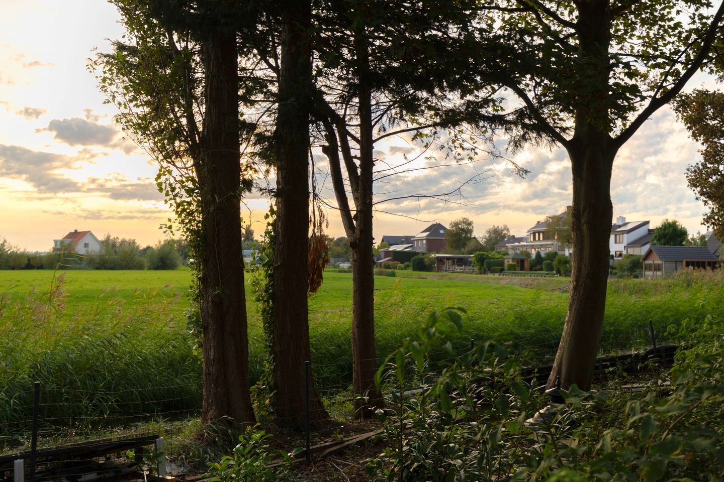 Photo 49 of Rodenrijseweg 527-D