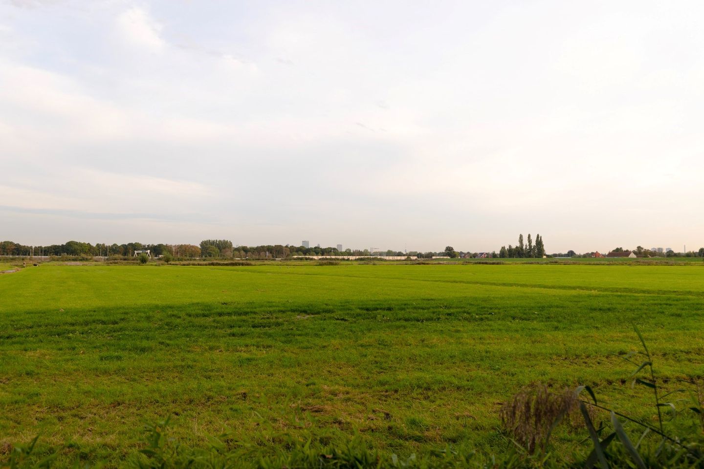 Photo 50 of Rodenrijseweg 527-D