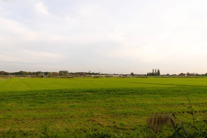 Foto 50 van Rodenrijseweg 527-D