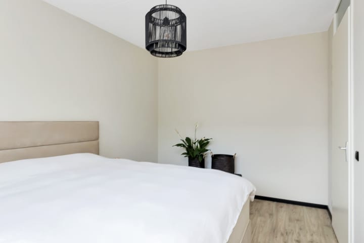 Foto 17 van Karper 30