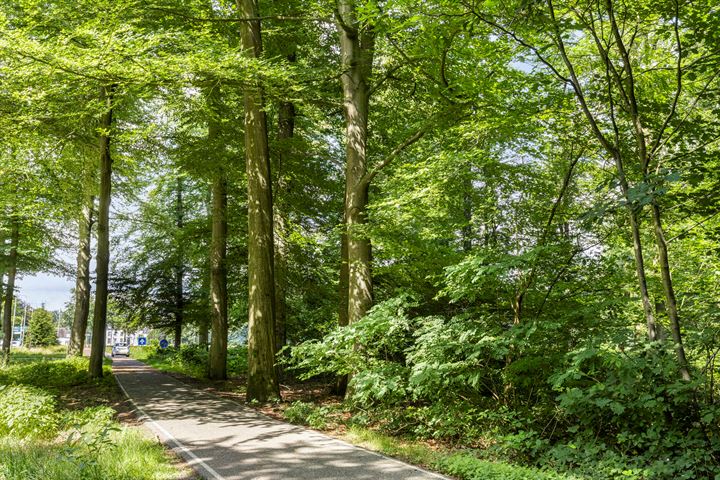 View photo 31 of Vordenseweg 4-B