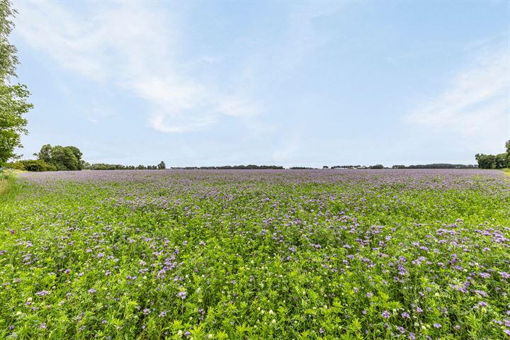 Bekijk foto 33 van Oude Dijk 88