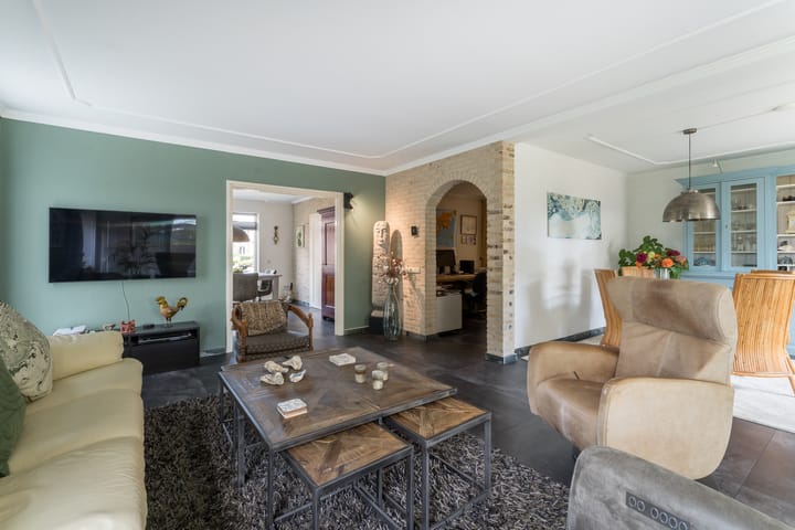 Foto 4 van Zanglijster 19