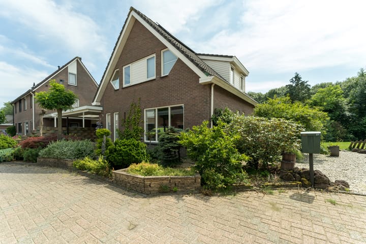 Foto 5 van Zanglijster 19