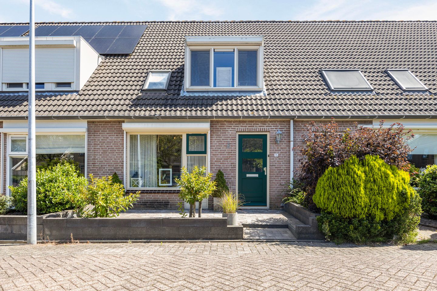 Foto 1 van Gerbera 15