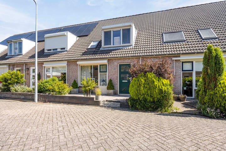 Foto 2 van Gerbera 15