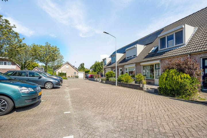 Foto 3 van Gerbera 15