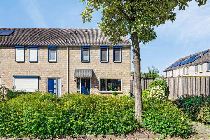 Foto 1 van Pieter Langendijkstraat 17