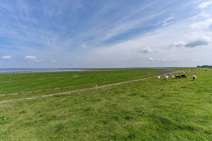 Foto 54 van 't Reedsje 5