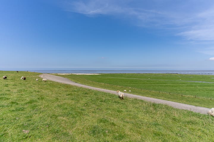 Foto 55 van 't Reedsje 5