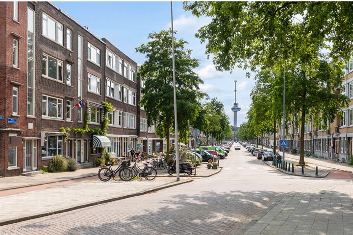 Bekijk foto 2 van Willem Buytewechstraat 231-B