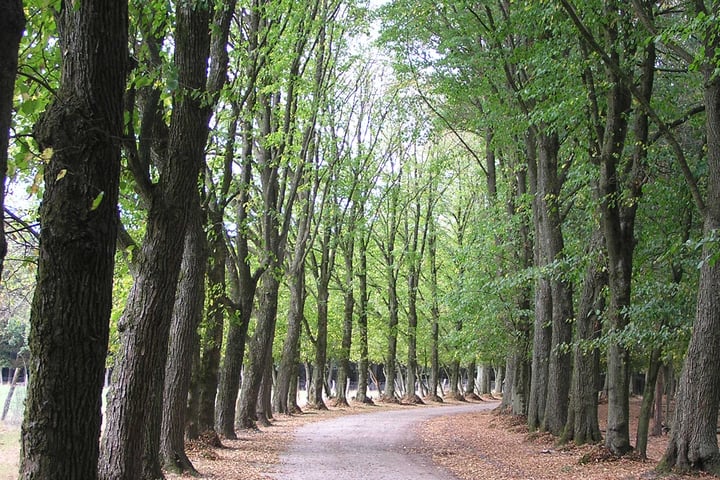 Bekijk foto 4 van Delerweg