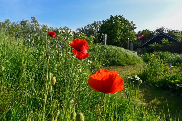 Foto 62 van Boogerdweg 10