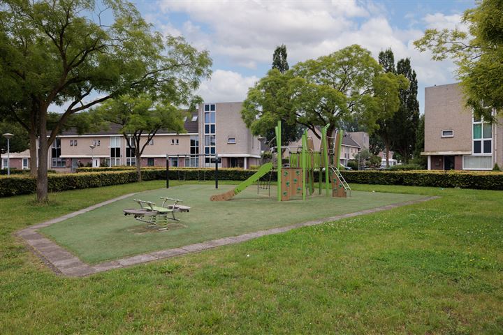 Bekijk foto 10 van Ocelotplantsoen 5