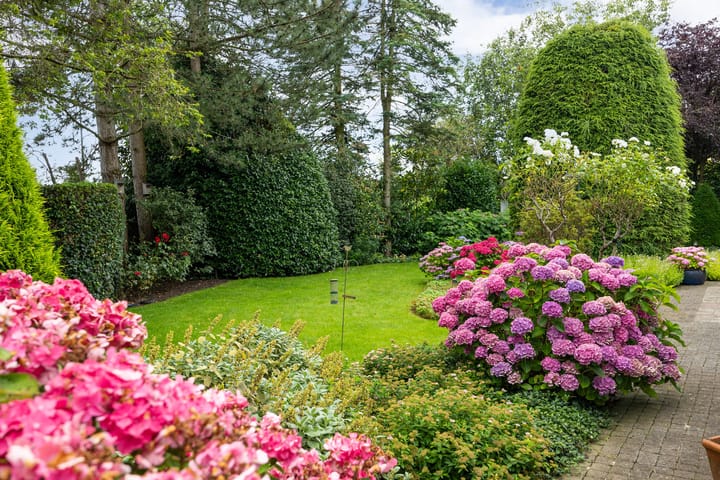 Foto 14 van Bomela 9