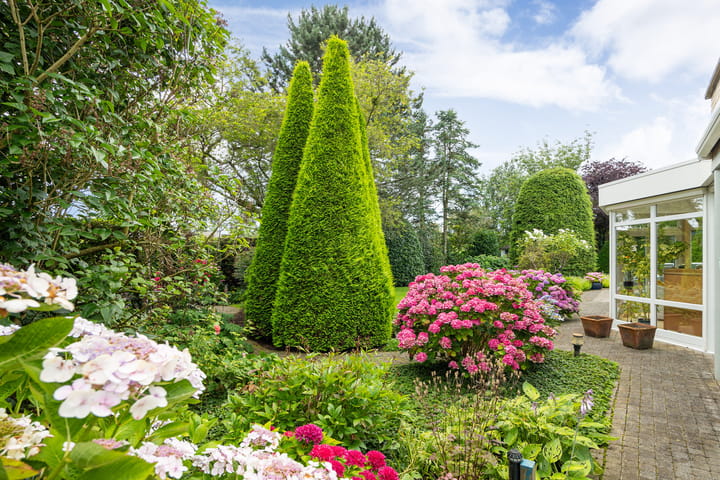 Foto 15 van Bomela 9